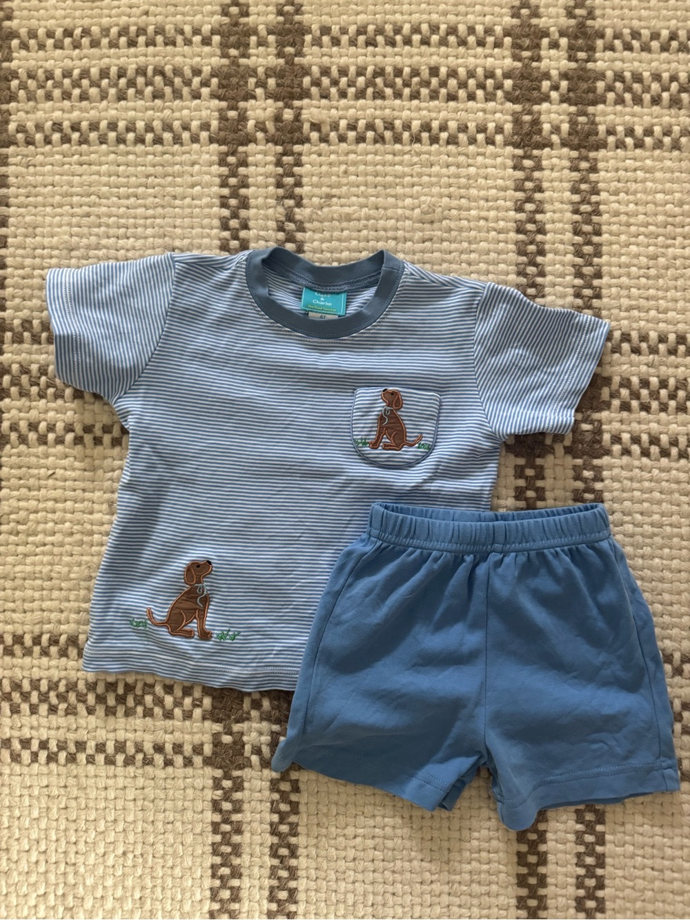 Blue Striped Puppy Tee & Shorts Set. Size 4T